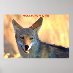 Póster Saludos de Navidad Mi viejo coyote