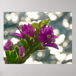 Póster Saludos de Temporada Flores de Primavera Bokeh