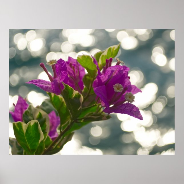 Póster Saludos de Temporada Flores de Primavera Bokeh (Frente)