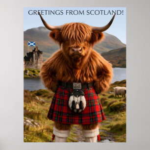 Póster "Saludos desde Escocia" Diseño de Vaca de las Tier
