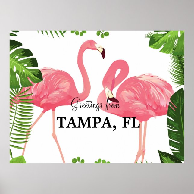 Póster Saludos desde Tampa, Florida (Frente)