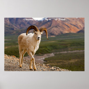 Póster Saludos navideños a mi querido amigo