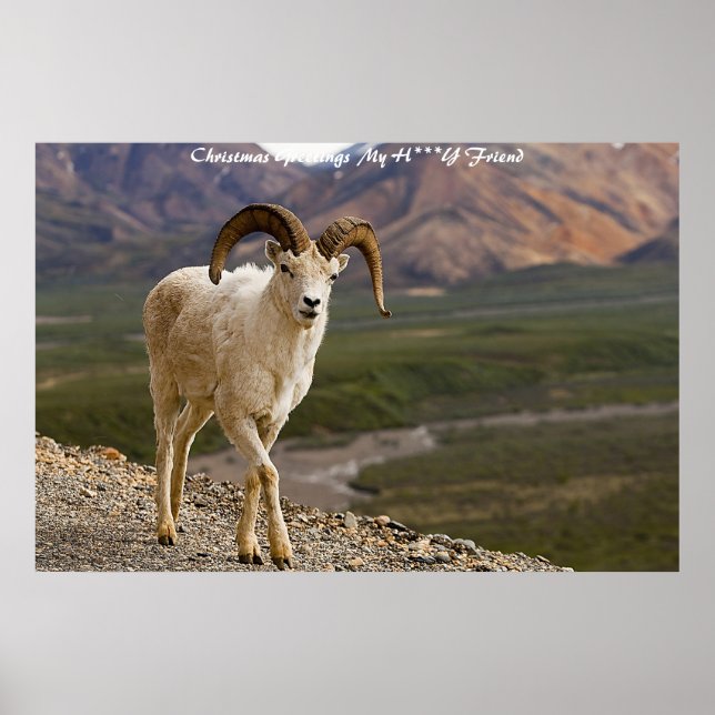 Póster Saludos navideños a mi querido amigo (Frente)