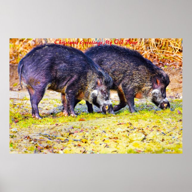 Póster Saludos navideños a mi viejo bicho (Frente)
