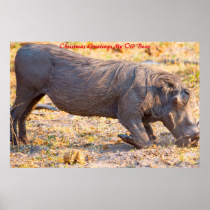 Póster Saludos navideños a mi viejo bicho