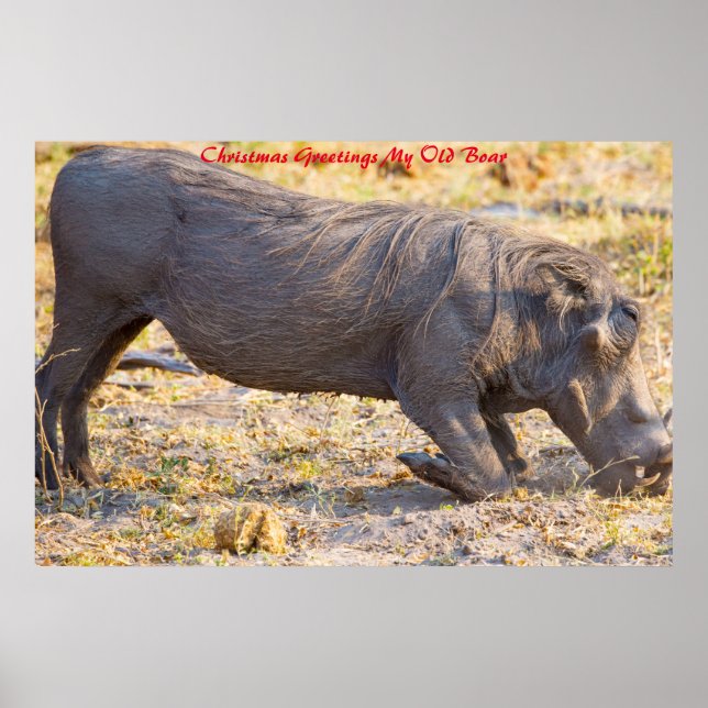 Póster Saludos navideños a mi viejo bicho (Frente)