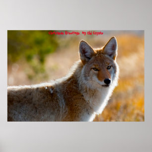Póster Saludos navideños a mi viejo Coyote