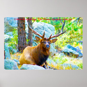 Póster Saludos navideños al pastor de cazadores en mi vid