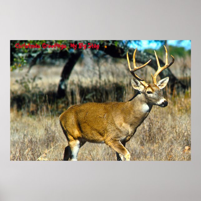 Póster Saludos navideños mi gran estadio (Frente)