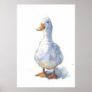 Póster Saludos Pato Blanco