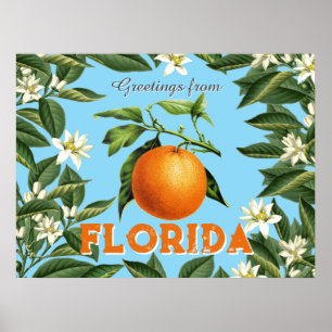 Póster Saludos Retro Vintage de la Naranja Fruta de Flori