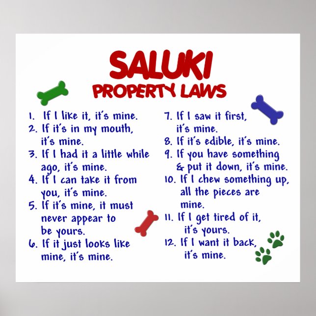 PÓSTER SALUKI PL2 (Frente)