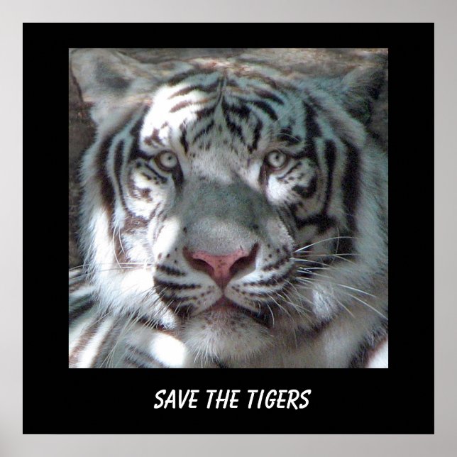 Póster Salva al Tigre (Frente)