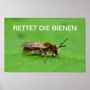 Póster Salva las abejas