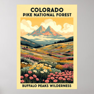 Póster Salvaje de Buffalo Peaks V01