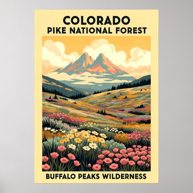 Póster Salvaje de Buffalo Peaks V01 (Frente)