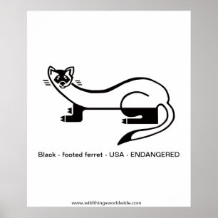Póster ¡Sálvame! FERRET de pie negro - poster