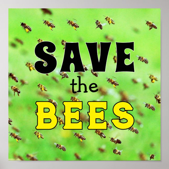 Póster Salvar a las abejas (Frente)