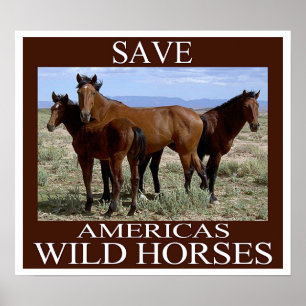 Póster Salvar a los caballos salvajes