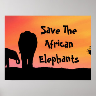 Póster Salvar a los elefantes africanos
