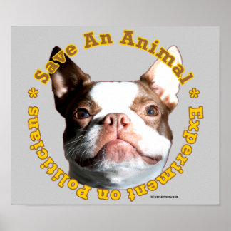 Póster Salvar a un Poster de perro animal