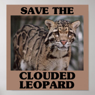 Póster Salvar al leopardo nublado