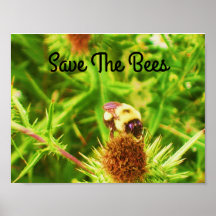 Salvar al Poster de abejas