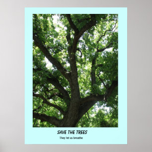 Póster Salvar al Poster de los árboles