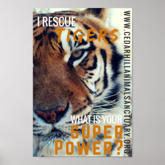 Póster Salvar la superpotencia de los tigres
