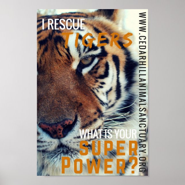 Póster Salvar la superpotencia de los tigres (Frente)