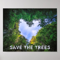 Salvar Los Árboles Bosque Corazón Paisaje Eco