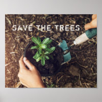 Salvar Los Árboles Plantación De Árboles Ambiental
