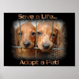 Póster Salvar una vida adoptar a un poster Mascota