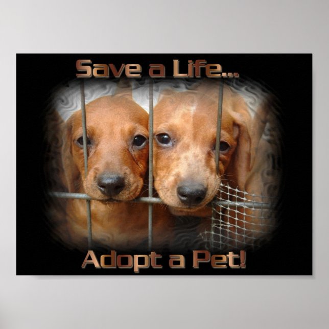 Póster Salvar una vida adoptar a un poster Mascota (Frente)
