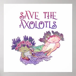 Póster Salve los Axolotls,Axolotl,Poster de Salamander