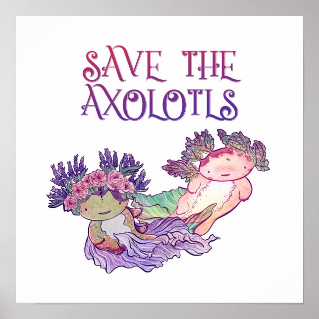 Póster Salve los Axolotls,Axolotl,Poster de Salamander (Frente)