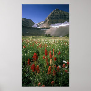 PÓSTER SALVEDAD DE MONTAR TIMPANOGOS, UT, EE.UU.,
