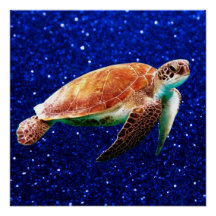 Salvemos a las tortugas marinas