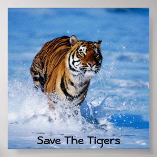 Póster Salven A Los Tigres