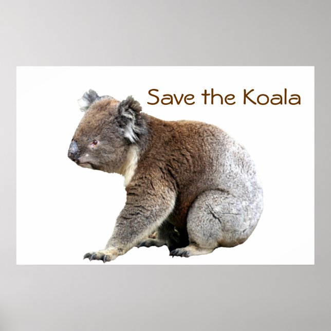 Póster Salven al Koala (Frente)