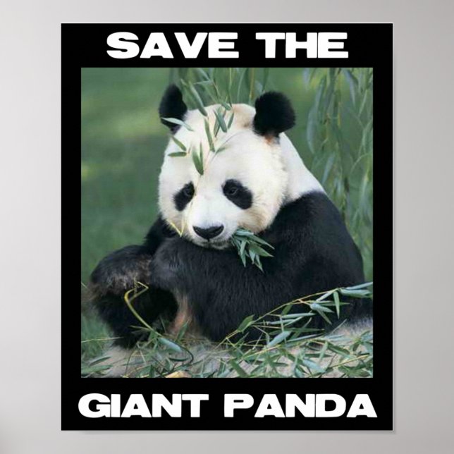 Póster Salven el gigante Panda (Frente)