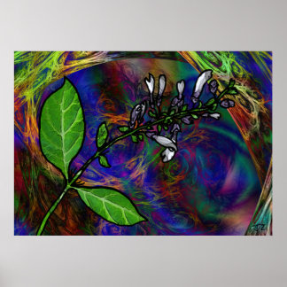 Póster Salvia Divinorum