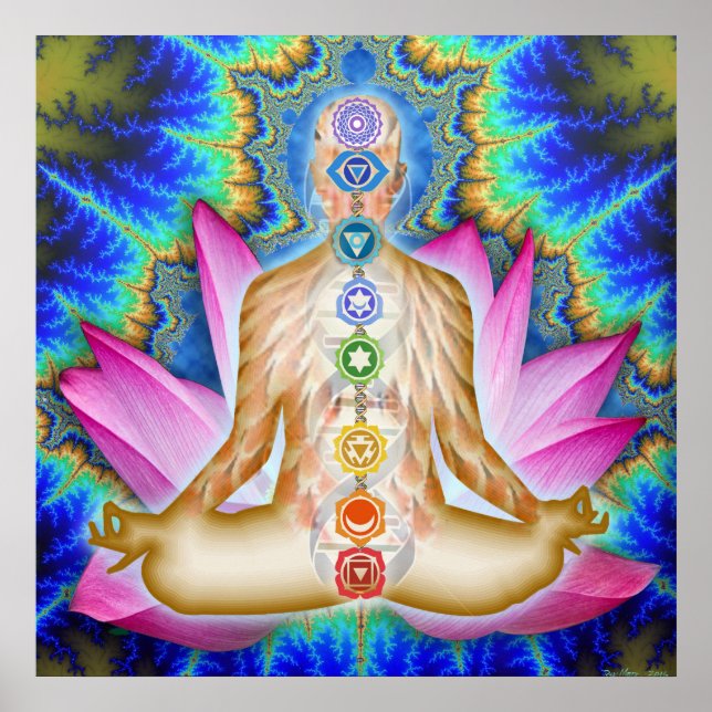 Póster Samadhi completo de Lotus Deep (Frente)