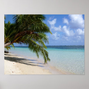 Póster Samoa Americana