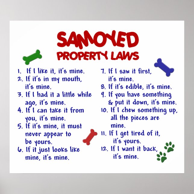 PÓSTER SAMOYED PL2 (Frente)