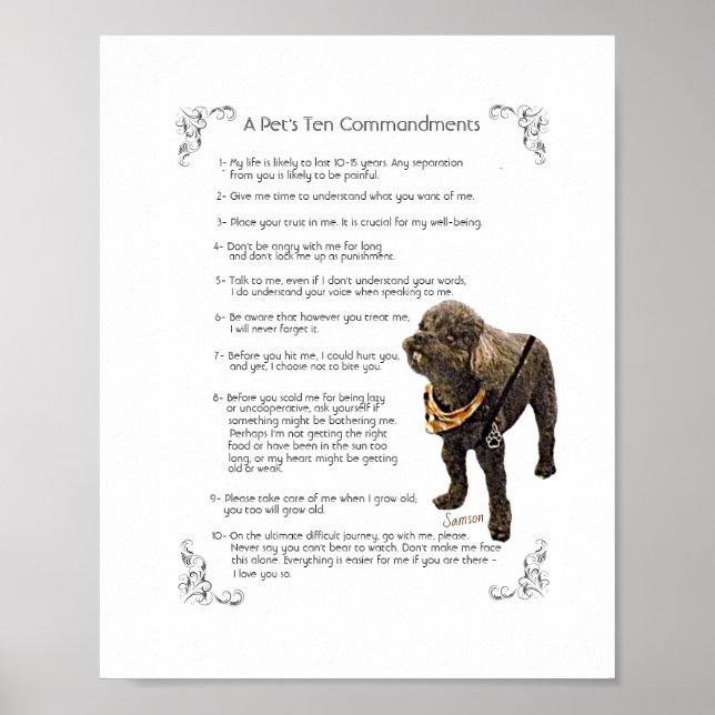 PÓSTER SAMSON - POSTER (Frente)