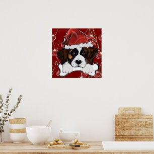 Póster San Bernardo