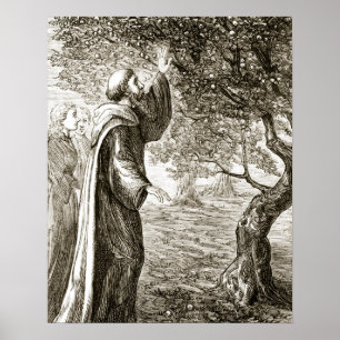 Póster San Columba transforma el fruto amargo en dulce, d