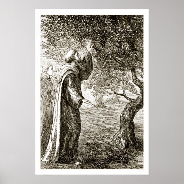 Póster San Columba transforma el fruto amargo en dulce, d (Frente)