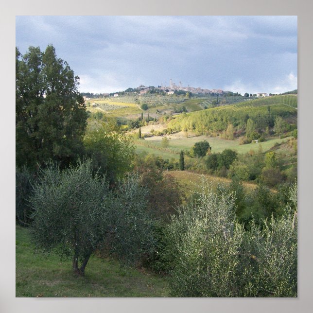 Póster San_Gimgnanofield (Frente)